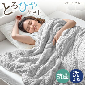 【10%引クーポン！8/16迄】 【冷感タイプ新登場！最安挑戦中】 インテ寝具総合1位 とろひや レーヨンケット 洗える 抗菌 ブランケット 夏用 シングル セミダブル ダブル 掛布団 肌掛け布団 掛け布団 肌掛け ひざ掛け 冷感ケット 冷感 レーヨン 夏布団 ひんやり