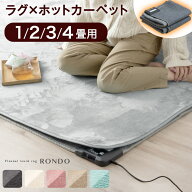【150H限定！5%引クーポン】 楽天1位 ラグ×ホットカーペット2点セット ラグ ホットカーペット セット 2…