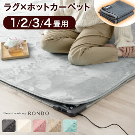 【楽天1位】 ラグ×ホットカーペット2点セット 1畳 2畳 3畳 4畳 ラグ ホットカーペット セット 洗える 軽量 滑り止め付 ラグマット 冬 カーペット 長方形 四角 オールシーズン 絨毯 冬用 ホットカーペットカバー 切り忘れ防止 タイマー ダニ退治