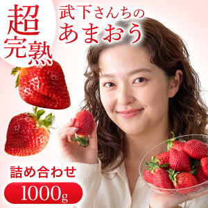 񂿂́gnh܂ lߍ킹 1kgi500g×2j iۏ  ܂ Â n  Xgx[ C`S t[c ʕ   O {Y Y  1000g 1kg 