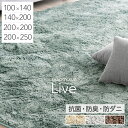 【正午~クーポン5%引】 さらふわ手触り 洗えるシャギーラグ 抗菌 防臭 低ホル 防音 滑り止め ラグ ラグマット 100×140 140×200 200×200 200×250 オールシーズン ウレタン 北欧 長方形 1畳 2畳 2.5畳 3畳 厚手 無地 カーペット ホットカーペット対応 絨毯 おしゃれ