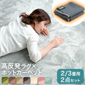 ラグ+ホットカーペット2点セット 2畳 / 3畳用 極厚2.5cm 高反発 ラグ 185×185cm 200×250cm ホットカーペット 2畳用 3畳 セット 軽量 滑り止め付 ラグマット 床暖房カーペット 電気マット 足元暖房 カーペット 正方形 オールシーズン 絨毯