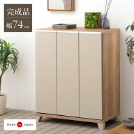 国産 完成品 シューズボックス 幅74 ロータイプ 消臭・脱臭機能付 大川家具 下駄箱 薄型 スリム 収納 靴…