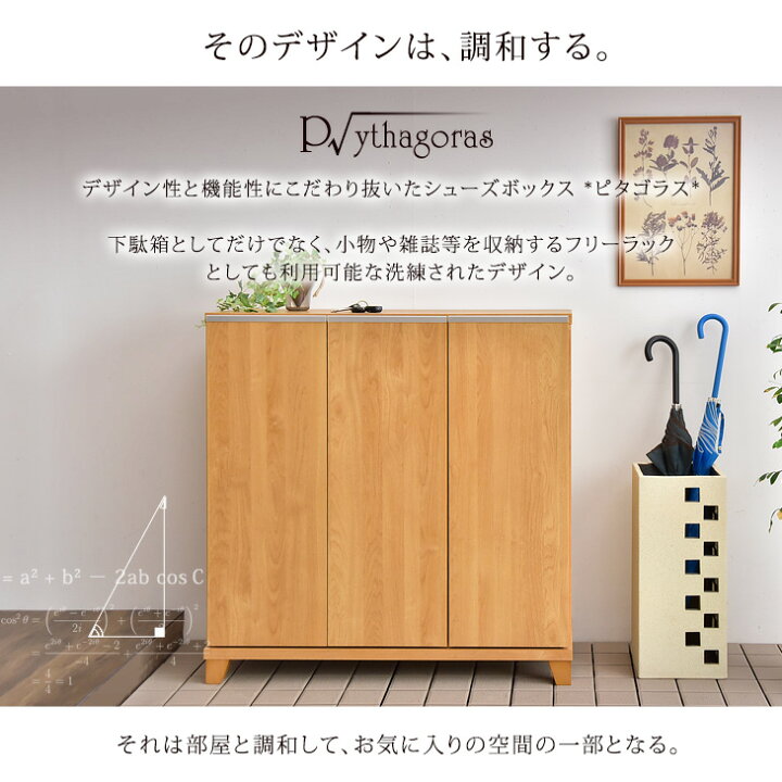 楽天市場】国産 完成品 シューズボックス 幅90 ロータイプ 消臭・脱臭 