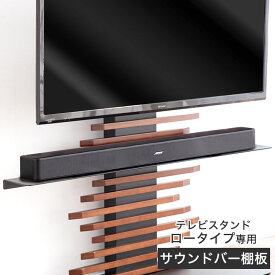 (商品番号：56800008)専用 追加用 サウンドバー棚板 ロータイプ用 幅100cm テレビスタンド専用 パーツ スピーカー オーディオ シアターバー サウンドバー ブラック ホワイト テレビ台 棚板