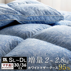 y~N[|5%z H2{ v~AHѕzc ق̑2kg |[hY }U[O[X 30 / 36}XLg }`2{8cm zCg}U[ O[X_E O[X 95% VO Z~_u _