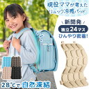 ≪TVで紹介≫ 楽天1位 RENEW 現役ママが考えた リュック用 冷感パッド 自然凍結 リュック 背中 冷感 ひんやり パッド クールリュック クールパッド 背中パッド 冷たい ひんやりグッズ ランドセル 熱中症 熱中症対策 暑さ対策 小学生 子供 大人