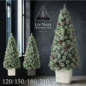 RENEW ヌードツリー Liv Norr 石目調 ポット付き 120cm 150cm 180cm 210cm 松ぼっくり付 ヌード ツリー リアル クリスマスツリー クリスマス 120 150 180 210 松ぼっくり スリム 大型 北欧 足元 隠し リヴノール リブノール おしゃれ