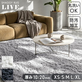 【リニューアル特価！更に本日5%引クーポン】 さらふわ手触り 洗える 高密度 シャギーラグ 防汚 防音 滑り止め シャギー ラグ ラグマット 100×135 135×185 185×185 200×250 200×300 長方形 1畳 2畳 2.5畳 3畳 4畳 厚手 無地 カーペット 北欧 韓国 おしゃれ