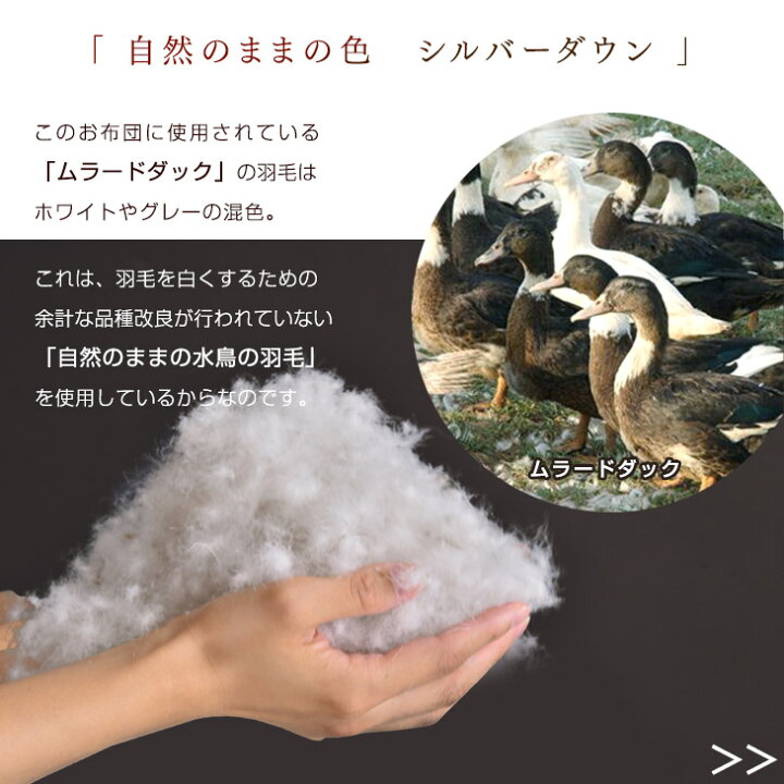 楽天市場 時 4h全品p5倍 30マスキルト 西川 羽毛布団 フランス産 ダウンボールが大きいムラードダック ダウン90 380dp 日本製 シングル ロング 洗浄度2倍 掛布団 ふとん 羽毛ふとん 羽毛ぶとん 国産 羽毛 布団 掛け布団 昭和西川 タンスのゲン Design The Future