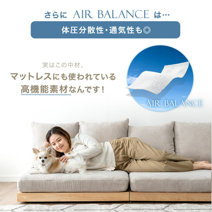 楽天市場】【本日5％引クーポン】 座面の中まで洗える ソファ カバー 