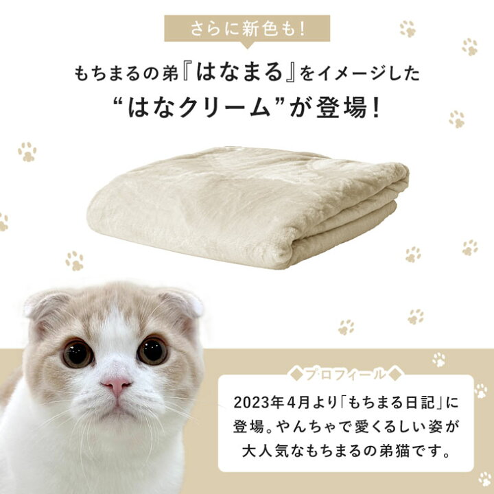 楽天市場】【在庫一掃プライス】 【楽天1位】もちまる監修 もちとろ  