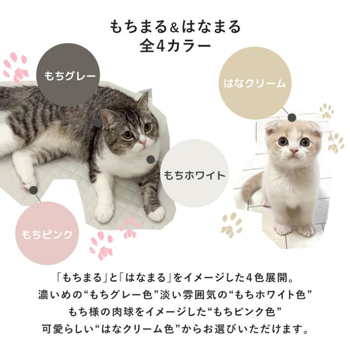 楽天市場】【在庫一掃プライス】 【楽天1位】もちまる監修 もちとろ  