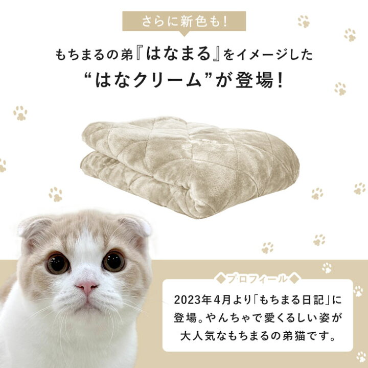 楽天市場】【正午~クーポン5%引】 楽天1位 もちまる監修 もちとろ  