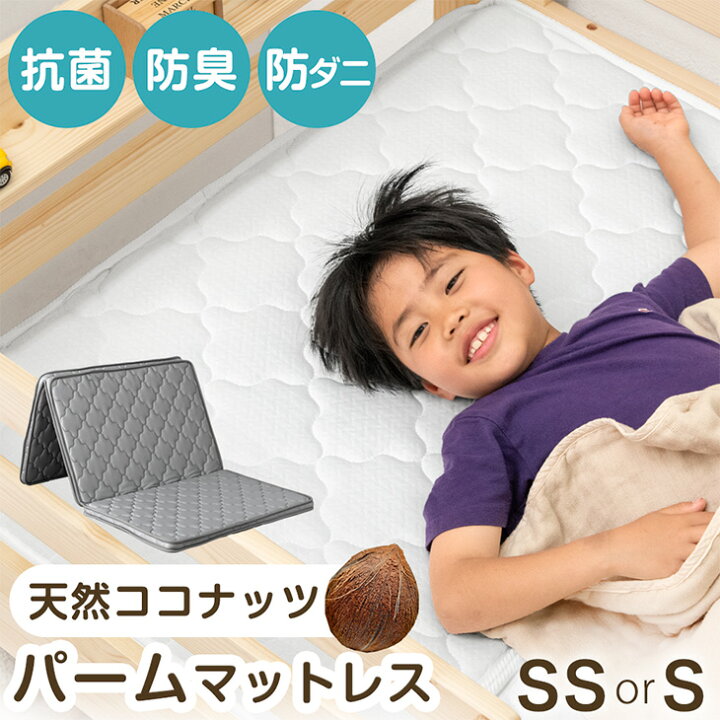 楽天市場】【20時~5％引クーポン】 防ダニ 抗菌 防臭 天然パーム 