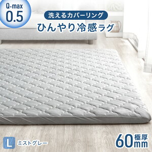�Ђ���⊴ ���Ɍ�60mm �􂦂� �J�o�[�����O���O Q-max0.5 �h�� �R�� �h�L �h�_�j ����~�� 1.5�� 2�� 2.5�� 130×185 185×185 185×240 �J�[�y�b�g �O�~ �ڐG�⊴ ���O �⊴���O �ėp �⊴ �� ���O ���O
