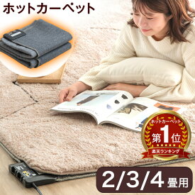 楽天1位 ホットカーペット 防ダニ 電気カーペット 暖房器具 暖房 長方形 2畳 3畳 4畳 176×176 176×235 195×290 床暖房カーペット ホットマット 電気マット 足元暖房 電気ホットカーペット 電気 ホット カーペット 冬 暖か マット