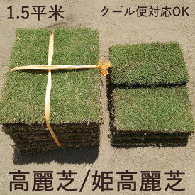 全国送料無料 産地直送 1.5平米 高麗芝 or 姫高麗芝 クール便OK 天然芝 芝生 1.5平米 コウライシバ 姫高麗 高麗 お手入れ簡単 ガーデン お庭 ゴルフ DIY ガーデニング 庭 緑 日本製 国産 芝生 芝生 グリーン 送料無料