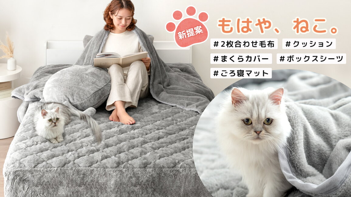 楽天市場 | タンスのゲン Design the Future - もはや、ねこ。シリーズ タンスのゲン ☆2026暖か福袋☆【2枚合わせ毛布/ ボックスシーツ/枕カバー(ダブル×2)】シングル もはや、ねこ。毛布 布団 シー