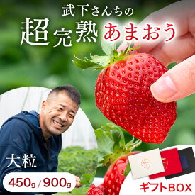 【15日0時〜クーポン5％引】 《産地直送》武下さんちの“超完熟”あまおう【450g/900g】ギフトBOX 大粒 3L 品質保証 いちご あまおう 甘い 完熟 苺 ストロベリー イチゴ フルーツ 果物 くだもの 日本産 国産 福岡 贈答用 プレゼント ギフト ギフトボックス お歳暮