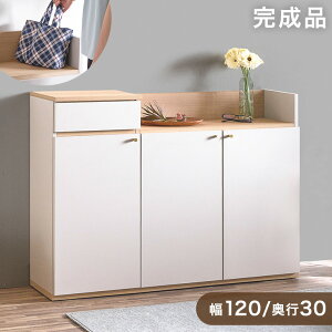 Lrlbg ^ i 120cm s30cm wʃR[ht I  `FXg fBXvCbN TCh{[h rO{[h rO[ X [ ؍ ؐ I rO {I t