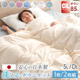 日本製 洗える 肌掛け布団 羽毛 1枚/ 2枚組 ダックダウン85% 30マス 立体キルト掛け布団 シングル セミダブル ダブル ダウンケット 肌掛けふとん 羽毛布団 肌布団 布団 除菌 防臭 夏 夏用 夏布団 春 ダウンケット 国産 涼しい