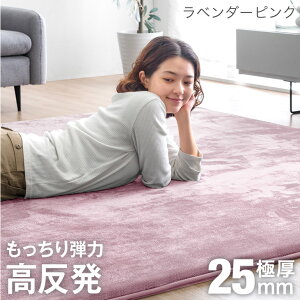 �y�V1�� ������ ���O ���� �y�h�����N�b�V������UP�z �Ɍ� 25mm �t�����l�� �h�� ����~�� 1�� 1.5�� 2�� 3�� 4�� �}�C�N���t�@�C�o�[ ���O�}�b�g �J�[�y�b�g 90×180 130×185 185×185 200×250 200×300 �t 
