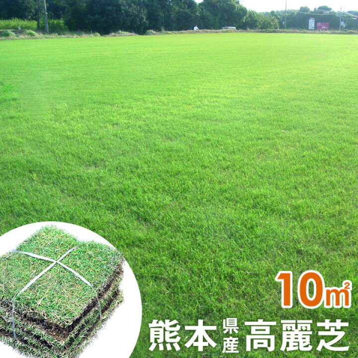 楽天市場 熊本県産高麗芝 天然芝 産地直送 芝生 天然芝 10平米 コウライシバ 熊本県産 高麗芝 お手入れ簡単 ガーデン 庭 芝 ガーデニング エクステリア お手入れ Diy タンスのゲン Design The Future