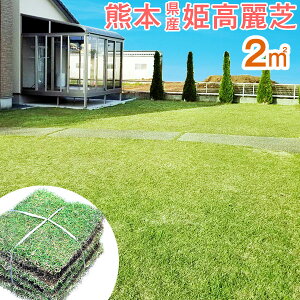 ガーデニング用品 姫高麗芝の人気商品 通販 価格比較 価格 Com