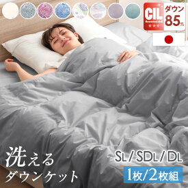 【本日クーポン5%引】 日本製 洗える 羽毛 肌掛け布団 1枚/ 2枚組 ダックダウン85％ 30マス 立体キルト掛け布団 シングル セミダブル ダブル ダウンケット 肌掛けふとん 羽毛布団 肌布団 布団 除菌 防臭 夏 夏用 夏布団 ダウンケット 国産 プレゼント 贈り物