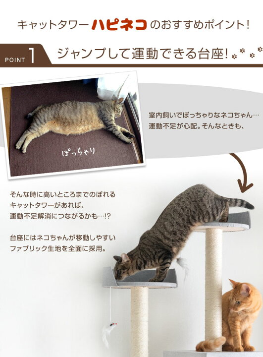 楽天市場】【本日5%引クーポン】 ニュアンスカラー 据え置き キャット 