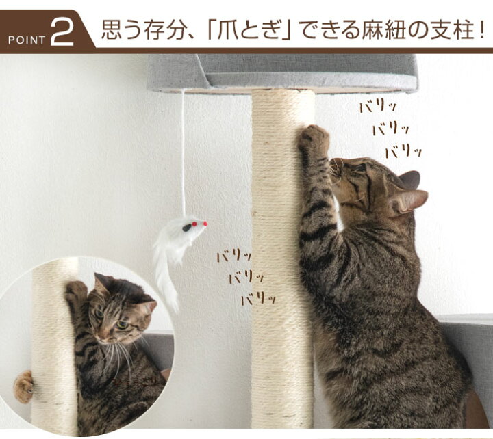 楽天市場】【本日5%引クーポン】 ニュアンスカラー 据え置き キャット 