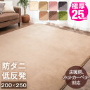 【送料無料】 極厚25mm 低反発ラグ 防ダニ 200×250 3畳 ホットカーペット対応 ラグ 厚手 滑り止め付 オールシーズン 長方形 ラグマット マット ...