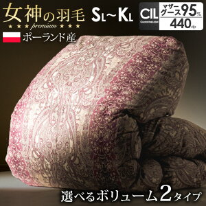 _̉Hѕzc |[hY }U[O[X 95%  or  􂦂  60Te 100 wLg 440dpȏ O[X_E 95  { VO Z~_u _u NC[ LO |