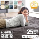 【正午~5%引クーポン】 楽天1位 高反発 ラグ 厚手 【防音＆クッション性UP】 極厚 25mm フランネル 防音 滑り止め 1畳…