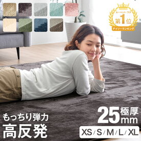 楽天1位 高反発 ラグ 厚手 【防音＆クッション性UP】 極厚 25mm フランネル 防音 滑り止め 1畳 1.5畳 2畳 3畳 4畳 マイクロファイバー ラグマット カーペット 90×180 130×185 185×185 200×250 200×300 春 夏 絨毯 ホットカーペット対応