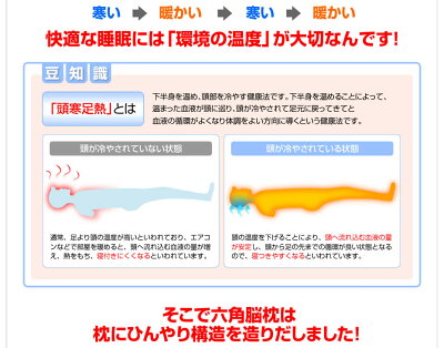 六角脳枕
