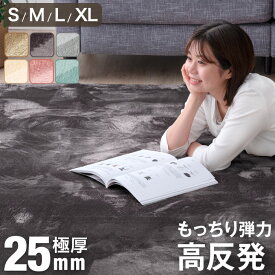 楽天1位 高反発 ラグ 厚手 【防音＆クッション性UP】 極厚 25mm フランネル 防音 滑り止め付 マイクロファイバー ラグマット カーペット 130×185 / 185×185 / 200×250 / 200×300 絨毯 高反発 厚手 ホットカーペット対応 床暖房対応