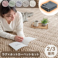 ラグ×ホットカーペット 2点セット 2畳 3畳 洗える 軽量 滑り止め付 ラグ ホットカーペット セット 防菌 …
