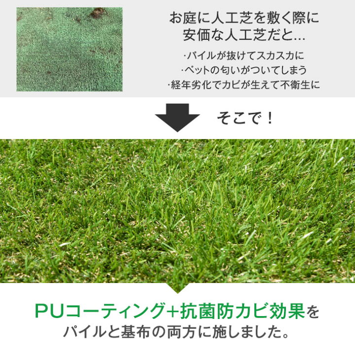 楽天市場 高耐久 抗菌防カビでドッグランにも最適 人工芝 ロール 1m 10m 芝丈35mm 抗菌 防カビ U字ピン 24本 1m 10m ロールタイプ ペット リアル ガーデニング 室内 ドックラン ベランダ 庭 春 秋 ガーデン 芝 芝生 芝生マット タンスのゲン Design The Future