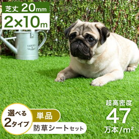 ★20時〜4H全品P5倍★【送料無料】 高耐久 リアル 人工芝 2m×10m 芝丈20mm U字ピン48本付 u字ピン 48本 水はけ リアル 10m ピン セット ガーデニング ベランダ DIY ガーデン 屋上 芝生 ロール 20mm 【超大型商品】【後払い・時間指定不可】