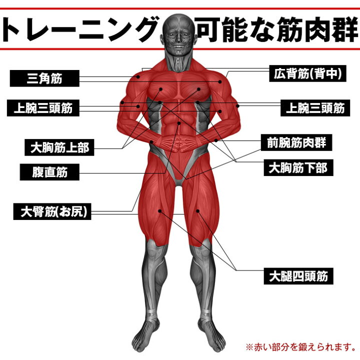 楽天市場 頑丈 懸垂バー はしご型支柱 ぶら下がり健康器 筋トレ 懸垂 バー 宅トレ チンニング ぶら下がり ぶらさがり ぶら下がり健康器具 6段階 高さ調節 物干しフック付き 懸垂マシン ぶら下がり機 エクササイズ 自宅 腕力 ストレッチ タンスのゲン Design The Future