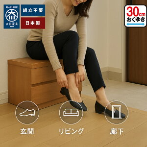 ^`FXg 2i | x`[ 45cm s30cm ^ ֎[ i y [ փx` 75 s30cm C̒E | LX`FXg i {  񂩂 L q