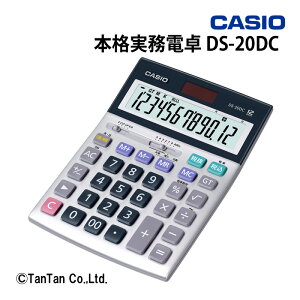 d DS-20DC {id EԌvZ fXN^Cv 12 ItBX@ JVIvZ@ CASIO JVIyGzyCz