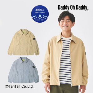 y40OFFZ[z_fBI_fB WPbg u] AE^[ n j̎q ̎q LbY WjA H u[ x[W 150-160cmyKzy2303zy48z