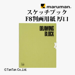 �y�������݁z�X�P�b�`�u�b�N �I���[�u�V���[�Y F8 �z���C�g ���ʎ� �G�� S88 �}���}�� maruman�yG�z�y2402�z�yC�z