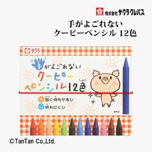 肪悲ȂN[s[yV 12F Sc FM TNNpX FYS12yGzy2402zyCz