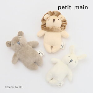 y20OFFZ[zpetit main veB}C Aj}g KK  j̎q ̎q xr[ MtgyGzy2501zy55z