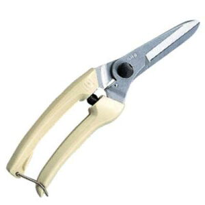 AXR[|[V ARS(AX) I[Eh͂ Ot@~[ 140L-DX 4965280656810 ARS ͂ ؂ꖡ ϋv S fUC n ɂȂ s y { GXg}[O