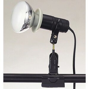 hJ^Cg ^ CH-300BZ OƖ h݌v LED GlM[Z[u